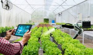 digital-farming-701x375
