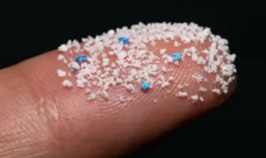 mikroplastik