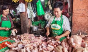 harga-daging-ayam-ras-di-riau_Anu4fEIE5a-750x378