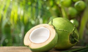 manfaat-buah-kelapa
